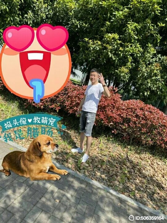 我若不坚强谁替我勇敢的第一张照片--合肥认干亲服务网